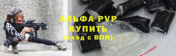 mdpv Богородск