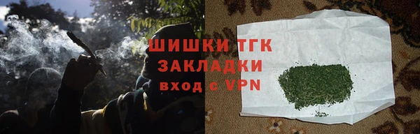 эйфоретик Богданович