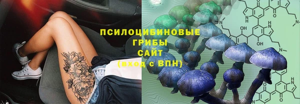 амф Богородицк