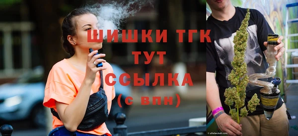 амф Богородицк