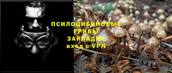 амф Богородицк
