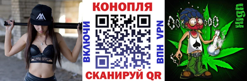 Бошки Шишки ГИДРОПОН Бирюсинск